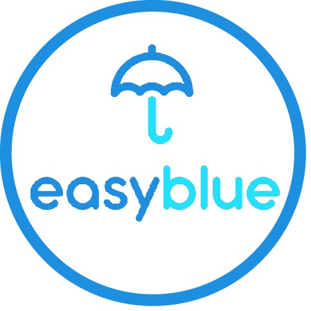 logo easyblue